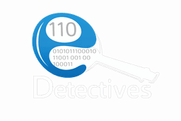 E-Detectives
